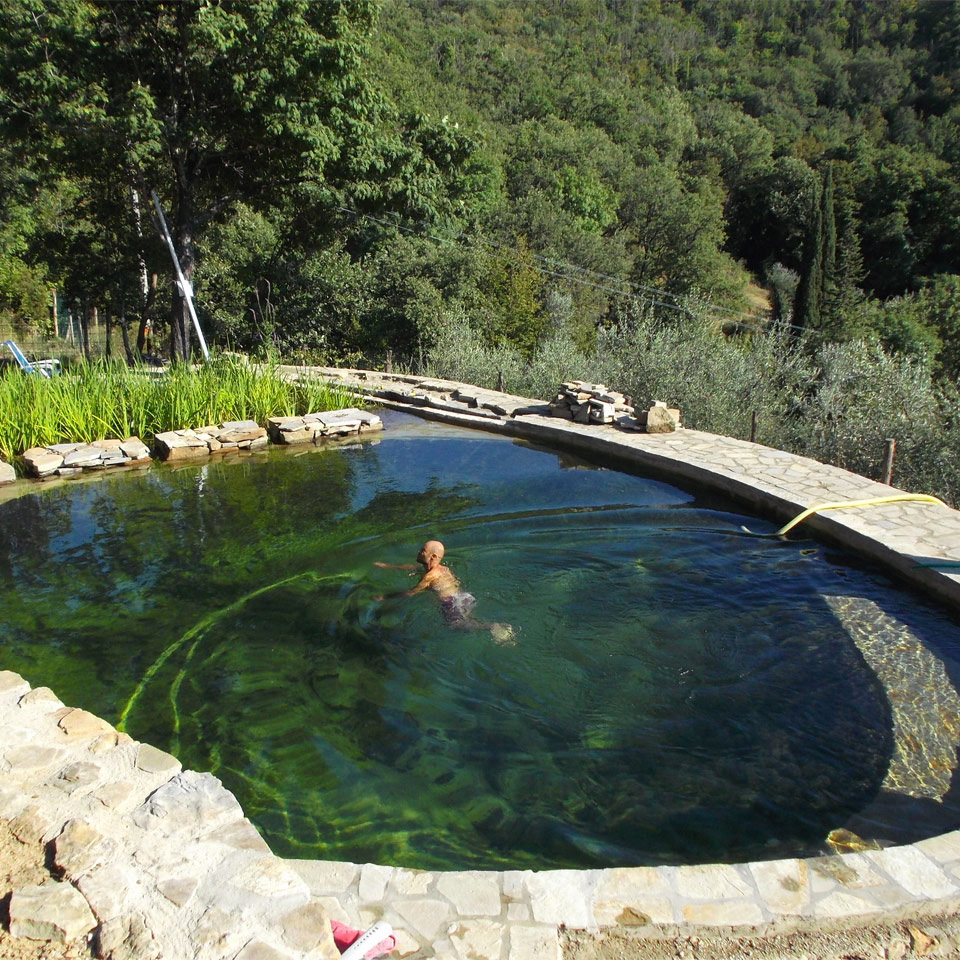 Quanto costano biolaghi e piscine naturali? / biolaghi, acqua e giardino Piscine biologiche prezzi