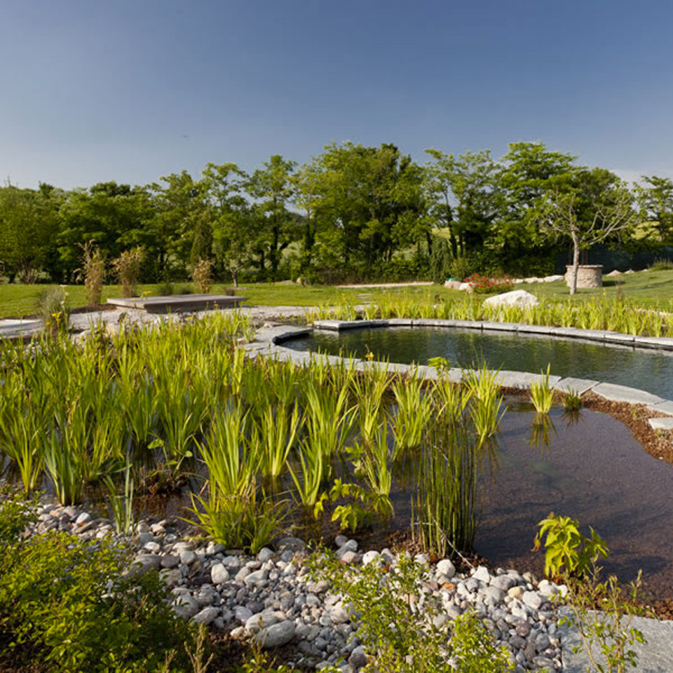 Costi e prezzi / biopiscine, ecolaghi e piscine naturali Piscine biologiche prezzi