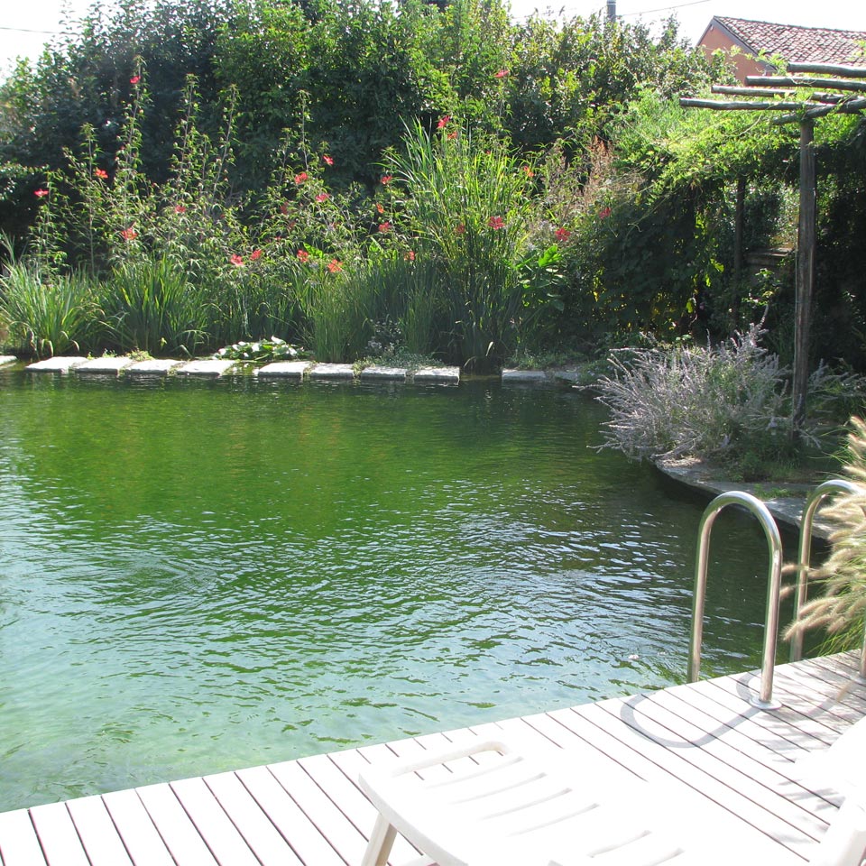 Costi e prezzi / biopiscine, ecolaghi e piscine naturali Piscine biologiche prezzi