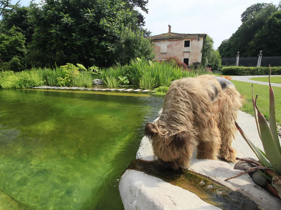 Piante, Fiori e Animali